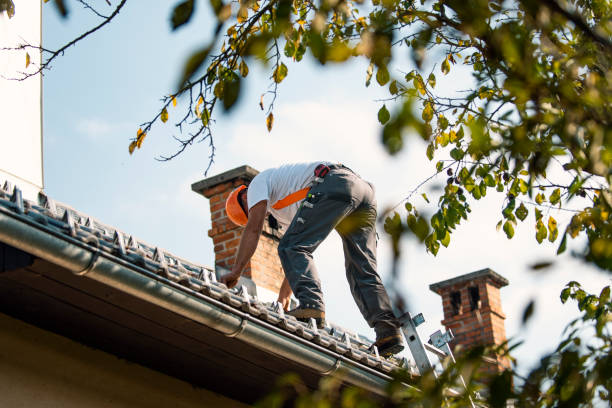 Best Flat Roof Repair Services  in Kootenai, ID
